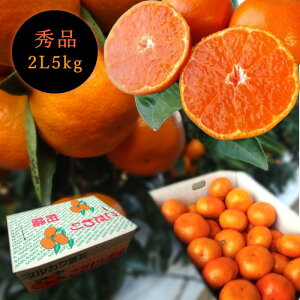 Zn}`̂ucہv@M[@2LTCY@5kg@Gi