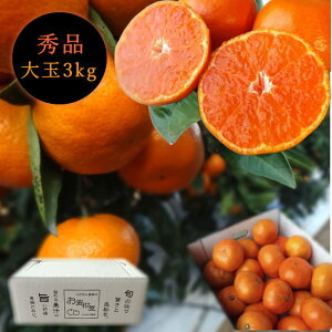 Zn}`̂ucہv@̃Mtg@ʃTCY@3kg@Gi