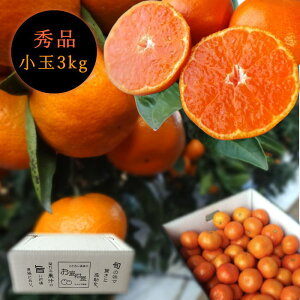 �Z�n�}���`�̂������u���c�ہv�@���̃M�t�g���@���ʃT�C�Y�@��3kg���@�G�i