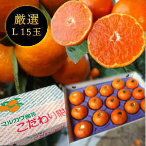 Zn}`̂ucہv@̉ϔ@LTCY@15ʓ@Iv~A