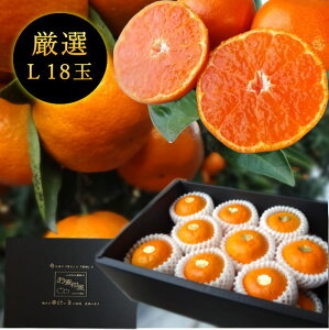 ys\tzyΕzZn}`̂ucہv@̉ϔij@LTCY@18ʓ@Iv~A