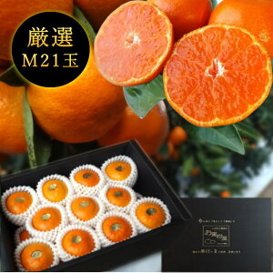 ys\tzyΕzZn}`̂ucہv@̉ϔij@MTCY@21ʓ@Iv~A