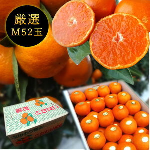 Zn}`̂ucہv@M[@MTCY@52ʓ@Iv~A