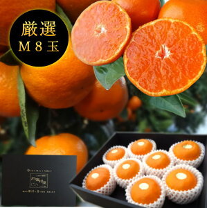 ys\tzyΕzZn}`̂ucہv@̉ϔij@MTCY@8ʓ@Iv~A