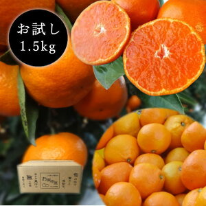 yizZn}`̂ucہv@()@TCY@i@1D5kg