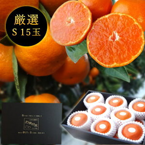 ys\tzyΕzZn}`̂ucہv@̉ϔij@STCY@15ʓ@Iv~A