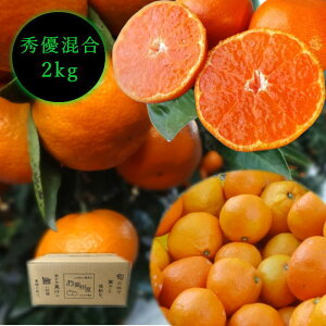 Zn}`̂ucہv@@TCY@GDi@2kg