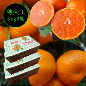 Zn}`̂ucہv@M[@ʃTCY@5kg@Gi@3Zbgi3ꈶւ̔Ɍj