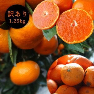 yȂƒpzZn}`̂ucہv@󂠂i@TCY@1D25kg