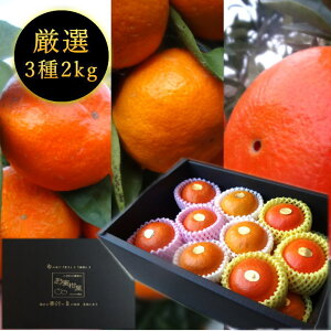 【先行予約受付中】【お歳暮】お蜜柑屋店長の厳選プレミアムギフト-極み- 黒の化粧箱(大) 三種詰め合わせ 約2kg入