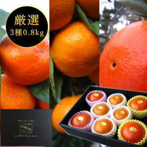 【先行予約受付中】【お歳暮】お蜜柑屋店長の厳選プレミアムギフト-極み- 黒の化粧箱 三種詰め合わせ(小)