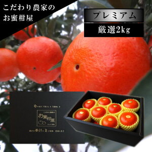 ґ򂲒ŷug_Cv@̉ϔij@TCY܂@2kg@Iv~A