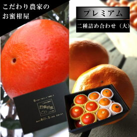 お蜜柑屋店長の厳選プレミアムギフト-熟-　黒の化粧箱（大）　二種詰め合わせ　約2kg入