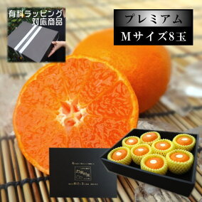 楽天市場 みかん 産地 都道府県 愛知 人気ランキング1位 売れ筋商品
