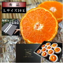 【ポイント5倍】【お中元】濃厚ハウスみかん「蜜ツ星（みつぼし）」　黒の化粧箱　Lサイズ　秀品　10玉入