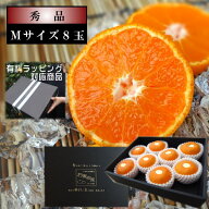 送料無料 めちゃ甘っ 温室みかん お中元 蜜ツ星 みつぼし 黒の化粧箱 （小） Mサイズ 秀品 8玉入 ギフト …