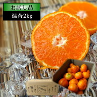 送料無料 めちゃ甘っ 温室みかん お中元 蜜ツ星 みつぼし 家庭用 お試し品 サイズ混合 約2kg入 農家直送 …