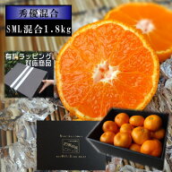 送料無料 めちゃ甘っ 温室みかん お中元 蜜ツ星 みつぼし 黒の化粧箱（中）　S～Lサイズ　秀優混合　約1…