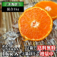 送料無料 めちゃ甘っ 温室みかん お中元 蜜ツ星 みつぼし キズ サイズ 混合 家庭用 訳あり 約1kg入 ギフ…