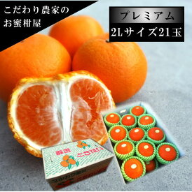 甘薫る美味のお蜜柑「蜜之望」　レギュラー箱　2Lサイズ　21玉入　厳選プレミアム