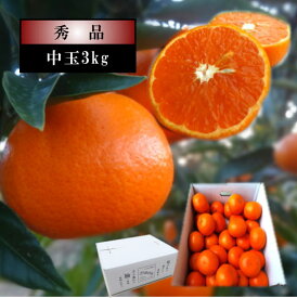 甘薫る美味のお蜜柑「蜜之望」　白のギフト箱　中玉サイズ　約3kg入　秀品