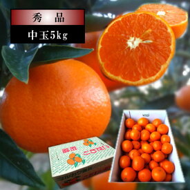 甘薫る美味のお蜜柑「蜜之望」　レギュラー箱　中玉サイズ　約5kg入　秀品