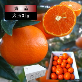 甘薫る美味のお蜜柑「蜜之望」　レギュラー箱　大玉サイズ　約3kg入　秀品