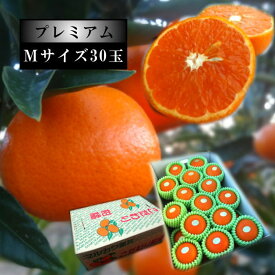 甘薫る美味のお蜜柑「蜜之望」　レギュラー箱　Mサイズ　30玉入　厳選プレミアム
