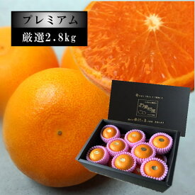 【03/04/20:00～03/11/1:59★10％OFF★5400円→4860円】甘酸と薄皮のお蜜柑「木熟せとか」　黒の化粧箱（大）　サイズおまかせ　厳選プレミアム　約2．8kg入