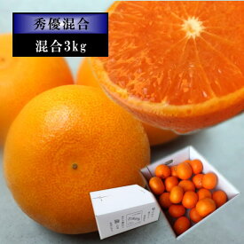 甘酸と薄皮のお蜜柑「木熟せとか」　白のギフト箱　サイズ混合　秀優混合品　約3kg入