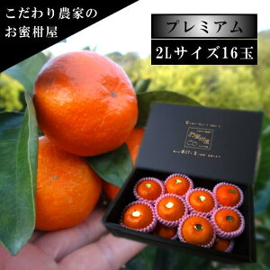 yÂAẑu[ĂPv@̉ϔij@2LTCY@16ʓ@Iv~A