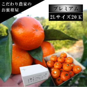 ÂAẑu[ĂPv@̃Mtg@2LTCY@20ʓ@Iv~A