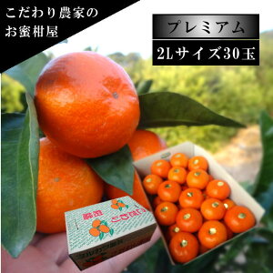 ÂAẑu[ĂPv@M[@2LTCY@30ʓ@Iv~A