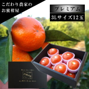 ÂAẑu[ĂPv@̉ϔij@3LTCY@12ʓ@Iv~A