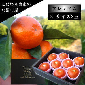 ÂAẑu[ĂPv@̉ϔ@3LTCY@8ʓ@Iv~A