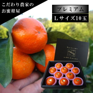 ÂAẑu[ĂPv@̉ϔ@LTCY@10ʓ@Iv~A