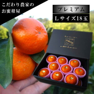 ÂAẑu[ĂPv@̉ϔij@LTCY@18ʓ@Iv~A