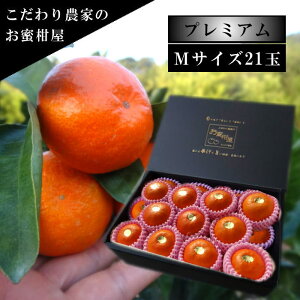 ÂAẑu[ĂPv@̉ϔij@MTCY@21ʓ@Iv~A