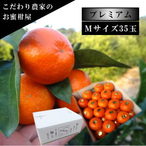 ÂAẑu[ĂPv@̃Mtg@MTCY@35ʓ@Iv~A