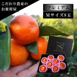 ÂAẑu[ĂPv@̉ϔij MTCY@8ʓ@Iv~A