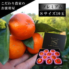 甘し、太陽のお蜜柑「夕焼け姫」　黒の化粧箱（小） Sサイズ　10玉入　厳選プレミアム