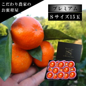 ÂAẑu[ĂPv@̉ϔfij@STCY@15ʓ@Iv~A