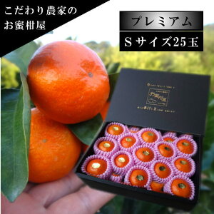 ÂAẑu[ĂPv@̉ϔij@STCY@25ʓ@Iv~A