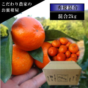 ÂAẑu[ĂPv@@TCY@GDi@2kg