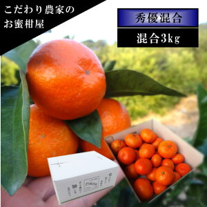 ÂAẑu[ĂPv@̃Mtg@TCY@GDi@3kg