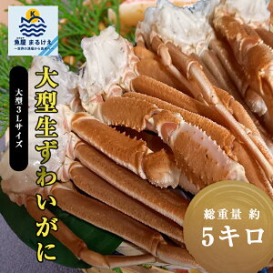 y2025NxVzYCKj 킢 5kg 4L 15O 킢I r̂  킢I YCKj  YCI ^ 킢Ɍr Jj ĂKj I CN NlꂽÎ