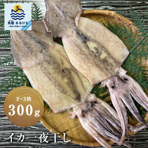 銱 300g 2~3  CJ G p Q\   v[g Mtg H꒼