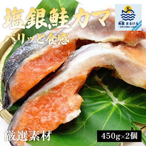 󂠂  TP J}  450g×2pbN  CN s  TP ؐg VP ؂g Ⓚ ƒp  ٓ