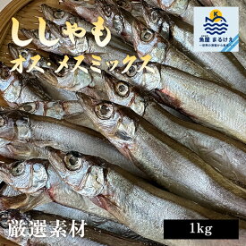 訳ありししゃも 干物 1kg 大容量 オス メス 冷凍 焼き フライ