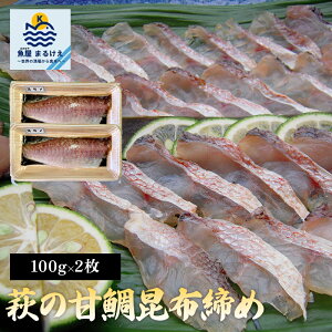 yMAX10%OFFN[|zÑ⍩zY 100g 2 ܂ A}_C z VR R s hg yY Mtg 蕨 ܂ 